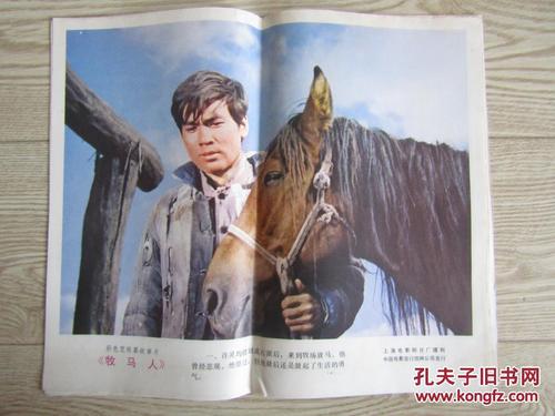 滨海绍森德--办理假驾驶证